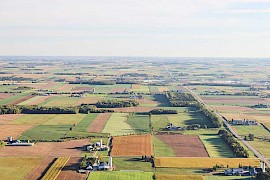 Landwirtschafts- / Höferecht