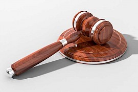 Straf- / Strafverfahrensrecht